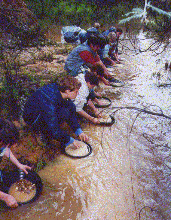 goldpanning.gif